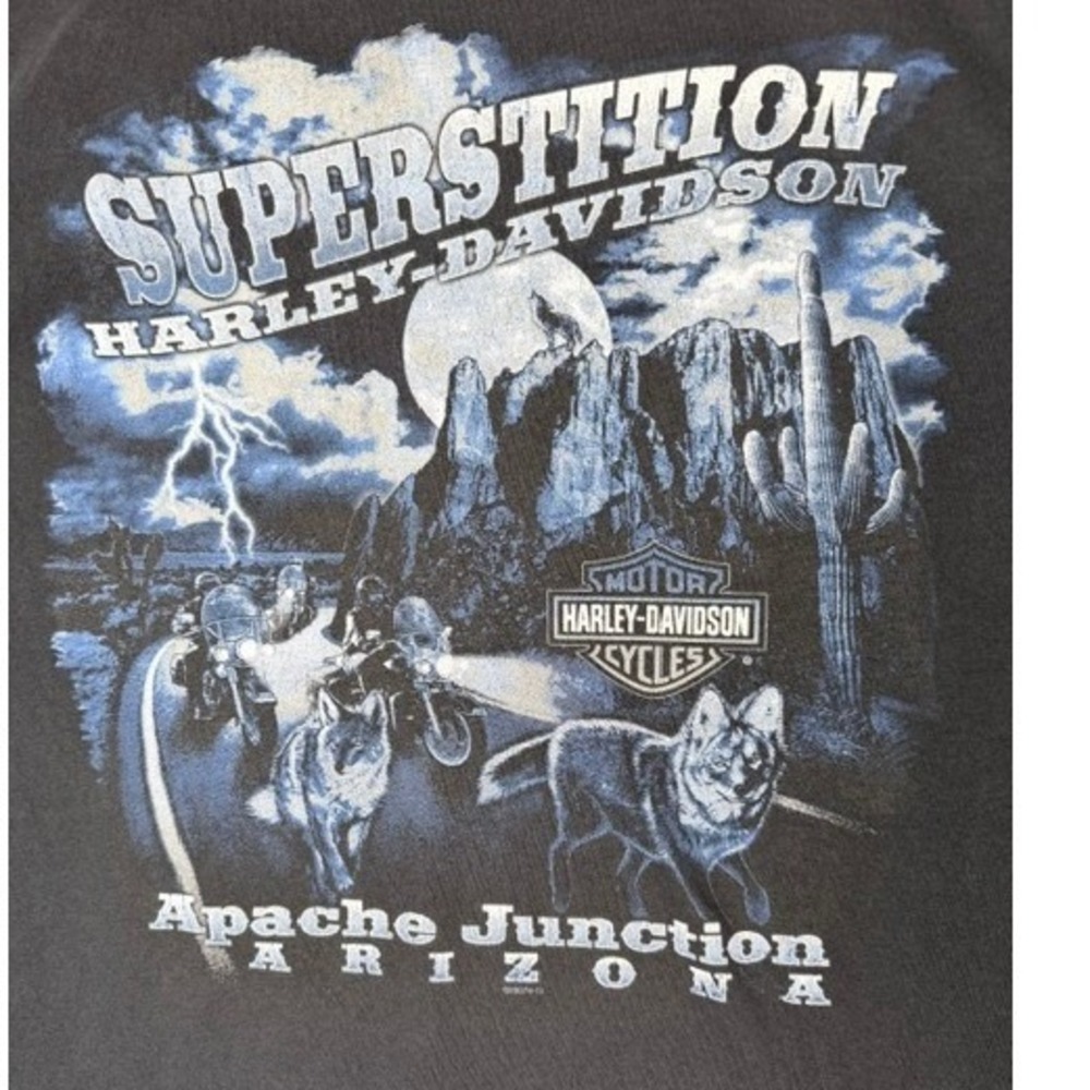 Harley Davidson Apache Junction Arizona Eagle Superstition T Shirt XL